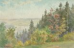 Nad Borysławiem, kolorowy las, w dali równina