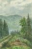 Karpaty Skolskie, Dębina