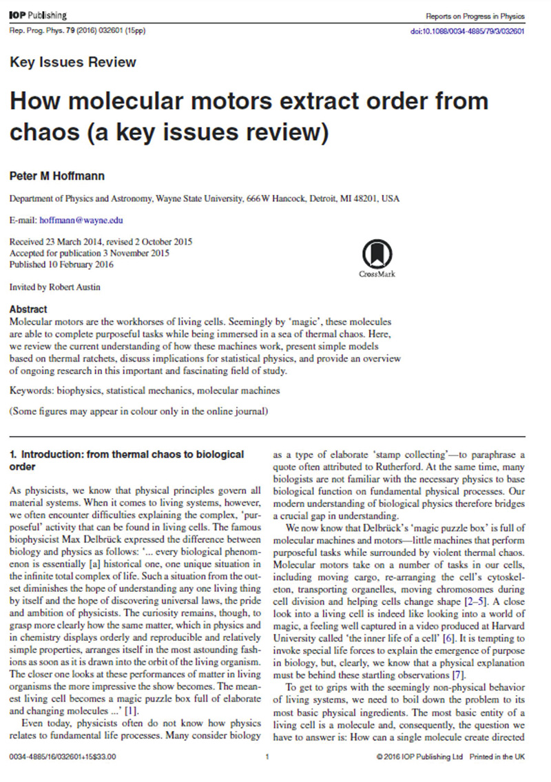 How molecular motors extract order from chaos