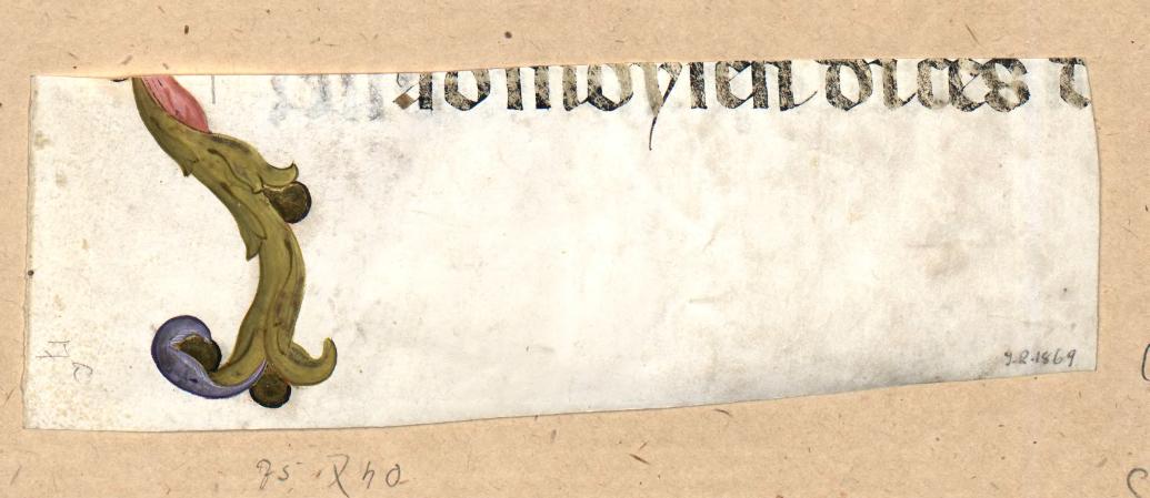 Fragment of bordiura of internal margin