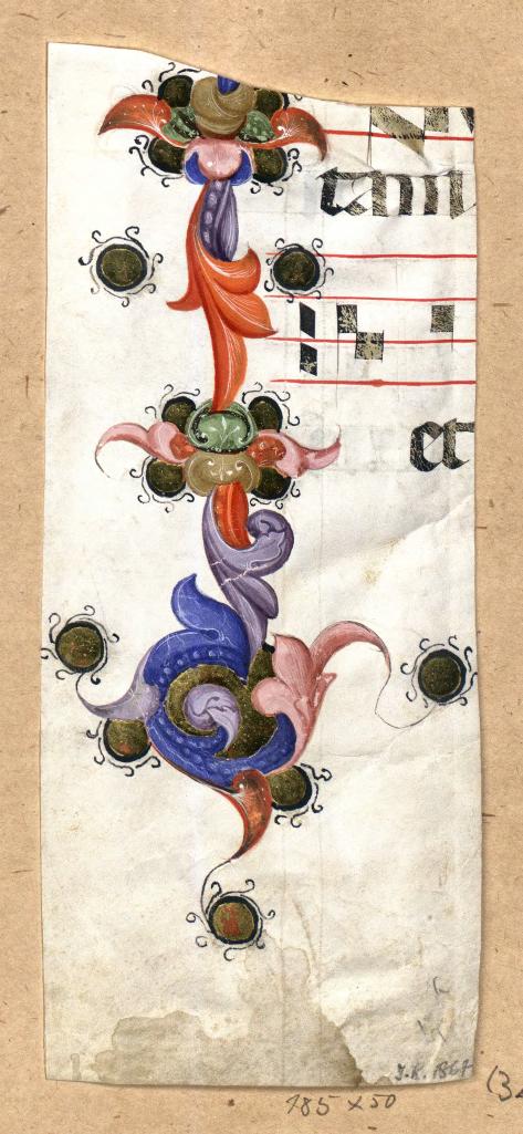 Fragment of bordiura of internal margin