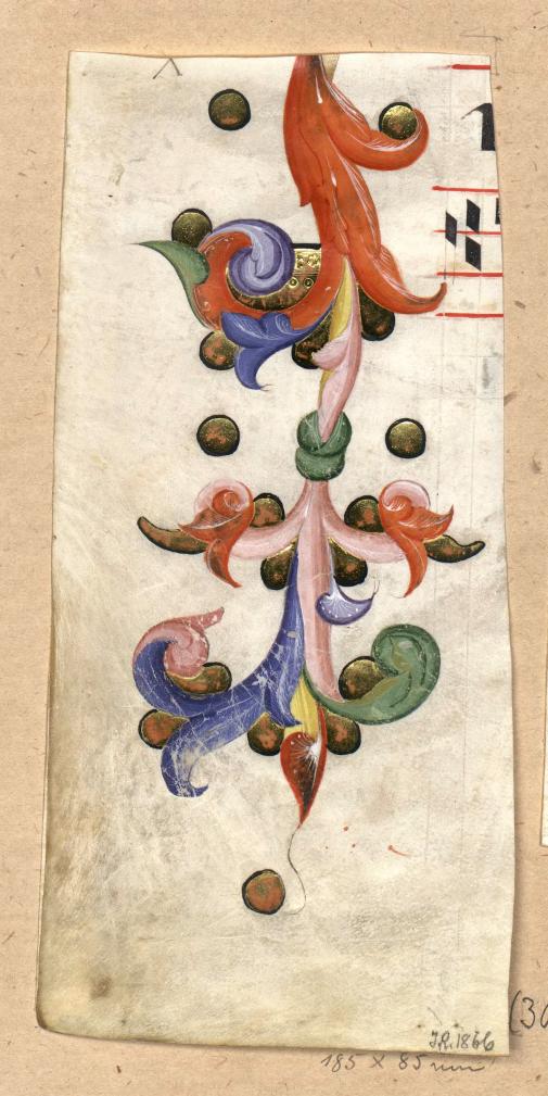 Fragment of bordiura of internal margin