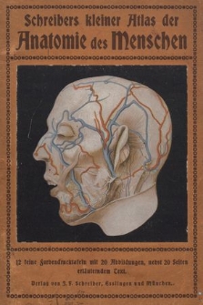 Schreibers kleiner Atlas der Anatomie des Menschen