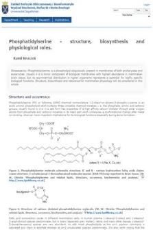 Phosphatidylserine - structure, biosynthesis and physiological roles