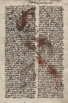 Acta et sermones Consilii Constantinensis et Basiliensis