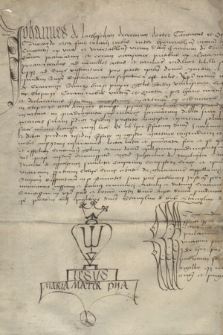 Dokument zawierający wyrok Jana z Latoszyna doktora dekretów, kanonika i oficjała krakowskiego w sprawie sporu o dług dotyczący szkoły na Kleparzu
