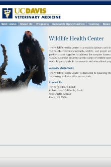 Wildlife Health Center