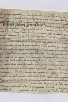 Fragment dokumentu zawierającego nadanie odpustów przez papieża Juliusza II dla diecezji poznańskiej