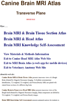Canine Brain MRI Atlas