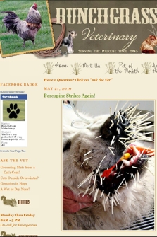 Bunchgrass Veterinary Blog