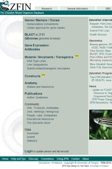ZFIN : the zebrafish model organism database