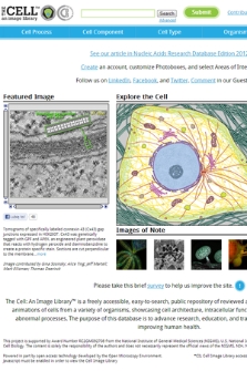 The cell : an image library