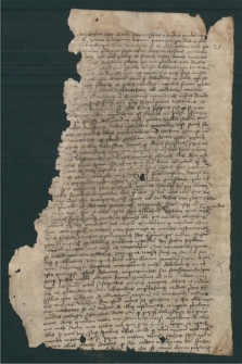 Korespondencja Mikołaja Czepla z lat 1475-1486 : Oryginały we fragmentach i szczątkach, dodane do nich pisma różnych i koncepty.