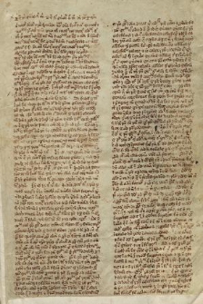 Commentarius in I-III, IV (fragm.) libros Sententiarum Petri Lombardi