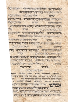 38 pergaminowych fragmentów hebrajskich