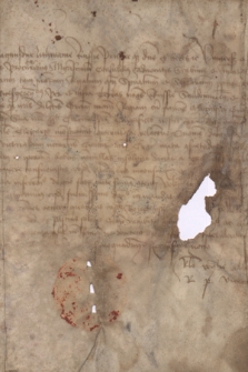 Dokument króla Kazimierza Jagiellończyka zakazujący pobierania od rzeźników niesłusznych opłat za pędzenie wołów z Rusi do Krakowa