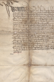 Dokument króla Kazimierza Jagiellończyka zezwalający Dobrogostowi z Leżenic na wykupienie wsi Prusinowicze i Wilamów