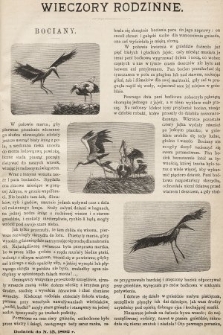 Wieczory Rodzinne : tygodnik ilustrowany dla dzieci. 1892, nr 15