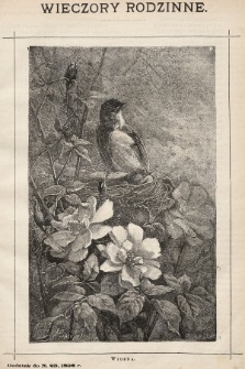 Wieczory Rodzinne : tygodnik ilustrowany dla dzieci. 1892, nr 23