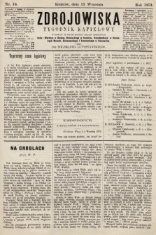 Zdrojowiska : tygodnik kąpielowy. 1873, nr 16