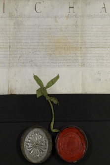 Dokument króla Michała Korybuta Wiśniowieckiego zawierający transumpt dokumentu króla Zygmunta Augusta z 5 XII 1569 dotyczącego zwolnienia mieszczan Bielska od podatku prętowego