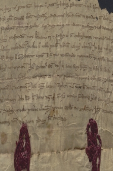Dokument księżnej Kunegundy [Kingi] dotyczący powołania sołtysa dla wsi [Starego i Nowego] Sącza