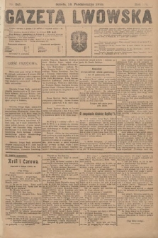 Gazeta Lwowska. 1919, nr 241