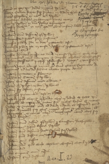 Formulae variae processuum et instrumentorum, ex actis consistorii Gnesnensis (1357-1427) maxima parte depromptae