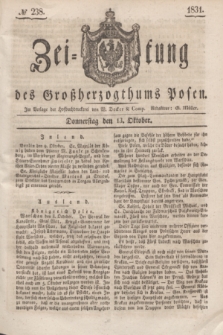 Zeitung des Großherzogthums Posen. 1831, № 238 (13 Oktober)