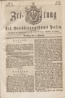 Zeitung des Großherzogthums Posen. 1833, № 6 (8 Januar)