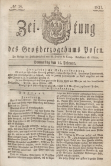Zeitung des Großherzogthums Posen. 1833, № 38 (14 Februar)