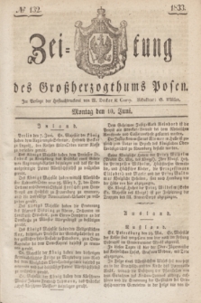 Zeitung des Großherzogthums Posen. 1833, № 132 (10 Juni)