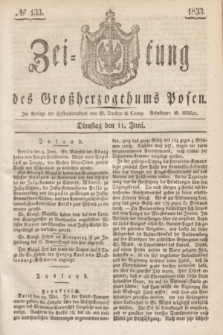 Zeitung des Großherzogthums Posen. 1833, № 133 (11 Juni)