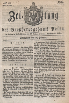 Zeitung des Großherzogthums Posen. 1836, № 43 (20 Februar)