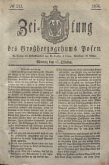 Zeitung des Großherzogthums Posen. 1836, № 243 (17 Oktober)