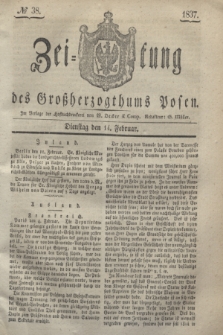 Zeitung des Großherzogthums Posen. 1837, № 38 (14 Februar)