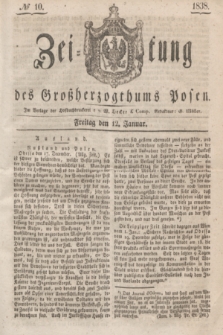 Zeitung des Großherzogthums Posen. 1838, № 10 (12 Januar)