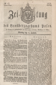 Zeitung des Großherzogthums Posen. 1838, № 12 (15 Januar)