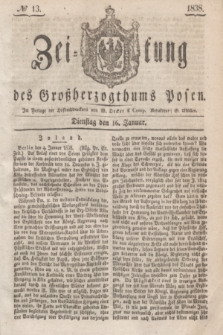 Zeitung des Großherzogthums Posen. 1838, № 13 (16 Januar)