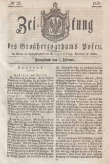 Zeitung des Großherzogthums Posen. 1838, № 29 (3 Februar)