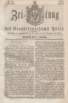 Zeitung des Großherzogthums Posen. 1838, № 38 (14 Februar)