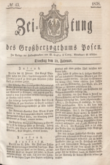 Zeitung des Großherzogthums Posen. 1838, № 43 (20 Februar)