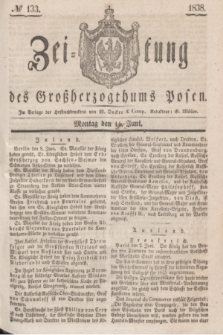 Zeitung des Großherzogthums Posen. 1838, № 133 (11 Juni)