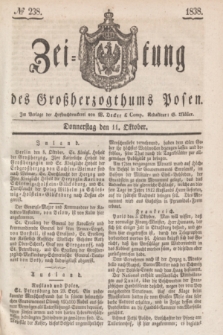 Zeitung des Großherzogthums Posen. 1838, № 238 (11 Oktober)