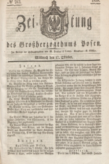 Zeitung des Großherzogthums Posen. 1838, № 243 (17 Oktober)