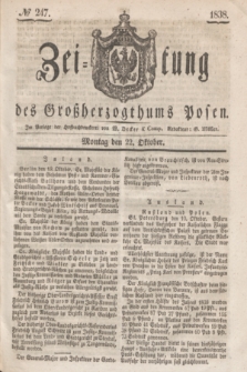 Zeitung des Großherzogthums Posen. 1838, № 247 (22 Oktober)