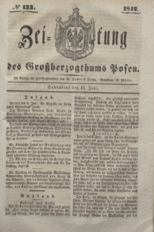 Zeitung des Großherzogthums Posen. 1842, № 133 (11 Juni)