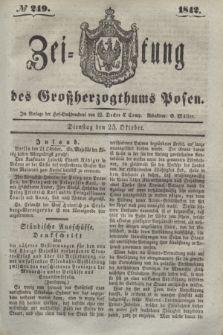 Zeitung des Großherzogthums Posen. 1842, № 249 (25 Oktober)