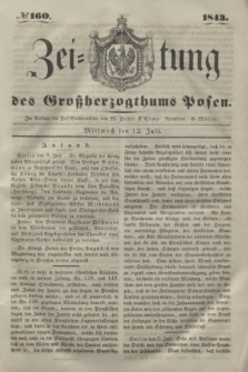 Zeitung des Großherzogthums Posen. 1843, № 160 (12 Juli)
