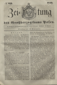 Zeitung des Großherzogthums Posen. 1843, № 213 (12 September)